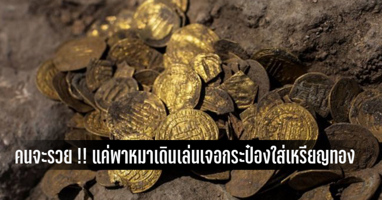 Read more about the article คนจะรวย !! แค่พาหมาเดินเล่นเจอกระป๋องใส่เหรียญทอง ขายได้เหรียญละ 34 ล้าน
